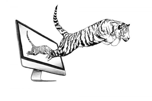 02_Monitor_Tiger_Illu_1000px