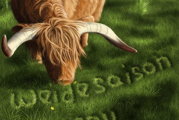 Cover Illustration Highland Cattle, Kinderbuch Illustrator gesucht, Kinderbuchillustrator gesucht, Kinderbuch illustrieren lassen, Kinderbuch erstellen lassen, Kinderbuchillustrator Andrea Baitz, Buchillustrator gesucht, Buch Illustrator, Kinderbuch Illustration, Kinderbuchillustration, Buchillustration, Buch Illustration, suche kinderbuchillustrator, suche illustrator, Andrea Baitz