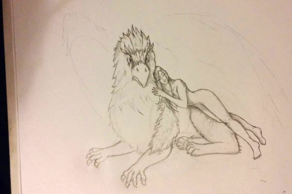 04_Illustration_Zeichnung_Gryphon_Lady