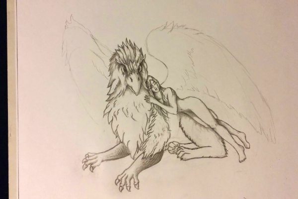 05_Illustration_Zeichnung_Gryphon_Lady