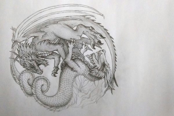 Illustration / Bleistiftzeichnung Yin Yang Drachen / Dragons