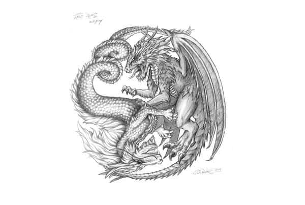 Illustration / Bleistiftzeichnung Yin Yang Drachen / Dragons